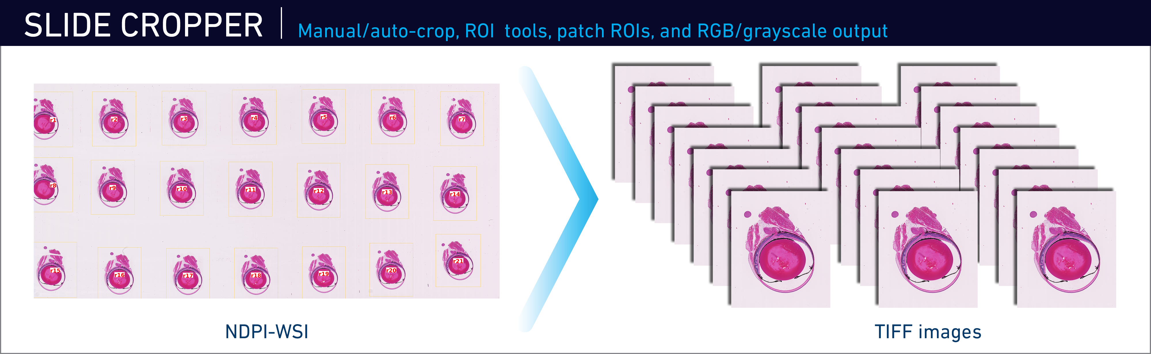 JAX Image Tools Slide Cropper