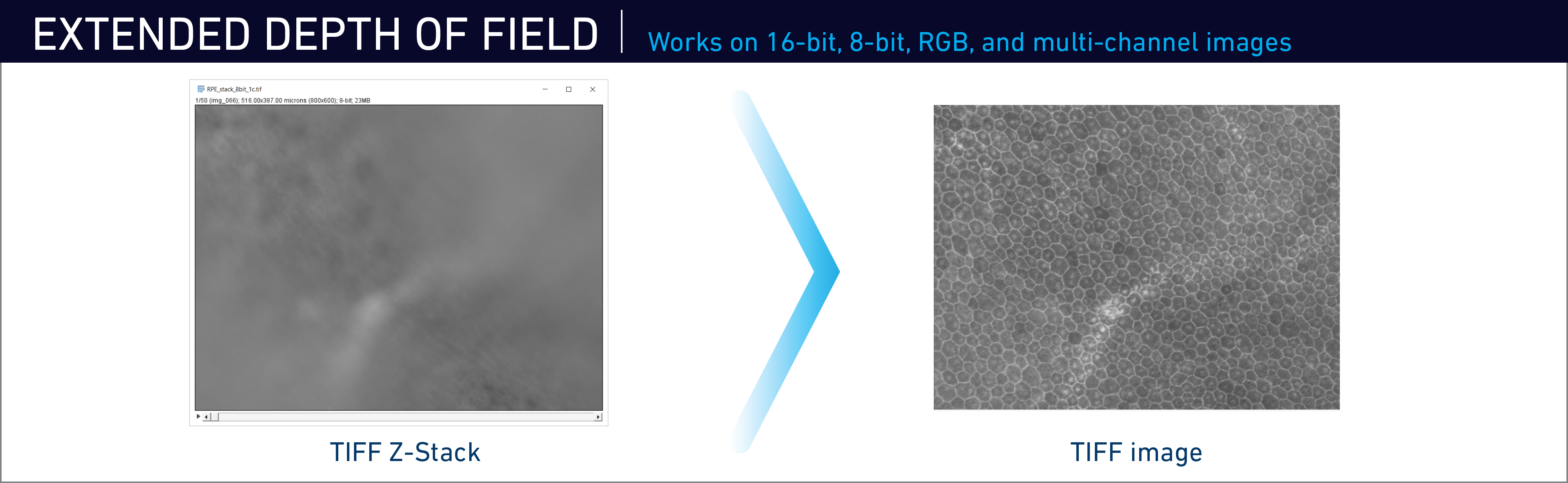JAX Image Tools Extended Field of Depth